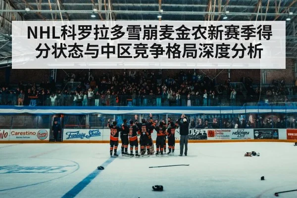 ice hockey arena crowd
